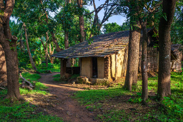 A small hut in a forest area of Karnataka state, India.