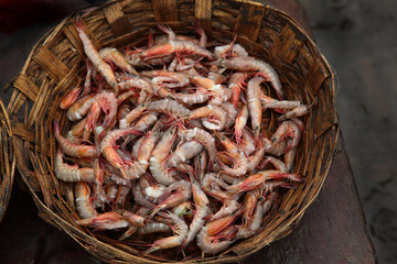 Fresh prawns from Arabian sea in cane basket. 