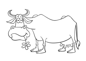 Cartoon phlegmatic cow. Vector illustration isolated on white. Outline drawing of cartoon funny cow.