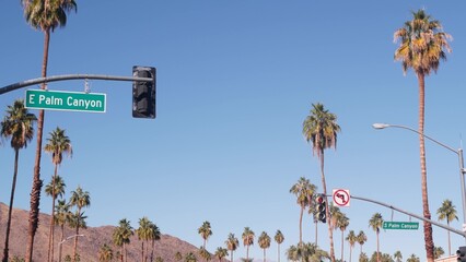 Palm trees and sky, Palm Springs street, city near Los Angeles, semaphore traffic lights on...