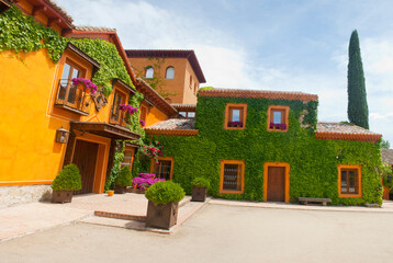 typical Castilian building with orange facade, with ivy and purple flowers