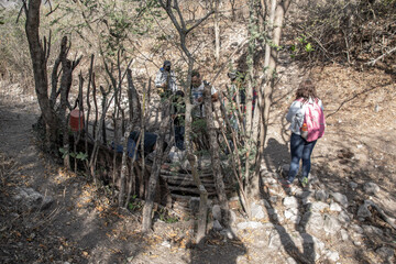 Naklejka premium hiking in the woods