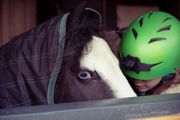 Girl in riding helmet with piebald gypsy cob horse pony in a blanket in a stable, showing blue wall...