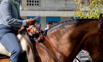 Detail of the hand of a rider manipulating his mobile in the traditional outing of the brotherhood of Roc&iacute;o de Huelva in Spain