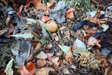 garbage, landfill, spoiled food, rotten food