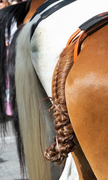 Detail of the braiding of a horse's tail in the pilgrimage of El Roc&iacute;o in Huelva.