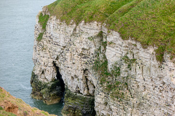 White chalk cliffs at Flamborough Head, East Yorkshire, with seabirds