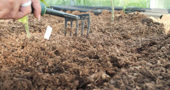 gardener rakes the ground