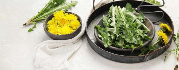 Fresh dandelion on light background.