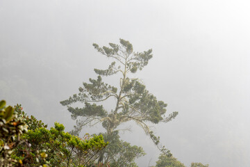 manu nationalpark in peru