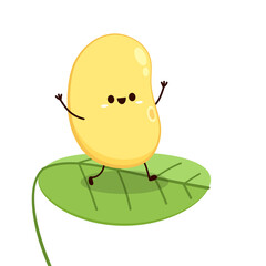 Soybean vector. Soybean character design.