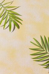 Tropical palm leaves at pastel background, summer background.