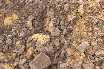 Soil on the ground as texture and background.