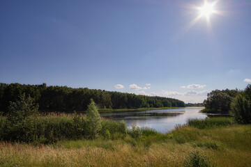 Quiet summer landscape on the lake