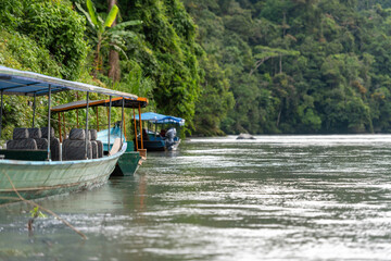 manu nationalpark