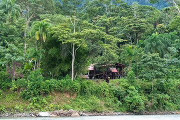 manu nationalpark © finkandreas