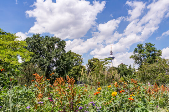 Luisenpark in Mannheim und im Hintergrund der der Fernmeldetrum, Baden-W&uuml;rttemberg