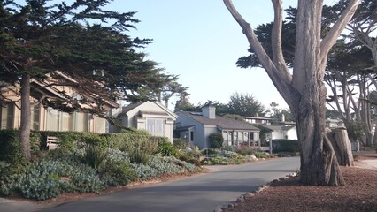 Typical suburban street, residential district, detached houses or single-family homes, road in...