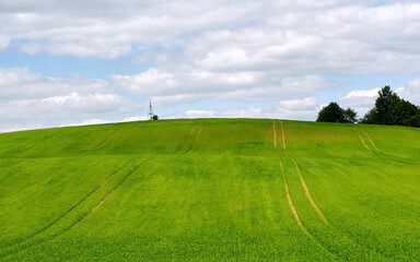 Green field landcape, agriculture harvest concept. Tire marks on farm field and blue cloudy sky. Summer panorama wallpaper, meadow, blue sky, clouds. Countryside landscape, grassland background