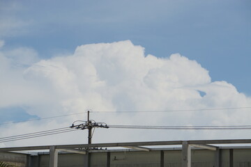 Obraz premium 空に夏雲