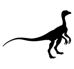 Dinosaurs of the Jurassic period. Silhouettes of different dinosaurs.