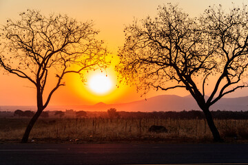 Beautiful african sunset over savannah in Tanzania