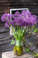 Bouquet of purple allium aflatunese