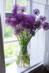 Bouquet of purple allium aflatunese on window sill - obrazy, fototapety, plakaty