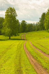 Green forest with a road going into the distance. Photo of a summer or spring forest with young green foliage. Forest road to the thicket. Photo for backgrounds, templates, pictures.
