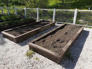 Wooden garden beds with your own hands. Tracks in the garden - obrazy, fototapety, plakaty