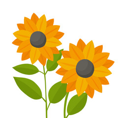 Two beautiful sunflower flowers for the design. Vector illustration in summer style