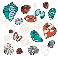 Obraz premium Vector illustration set: different blue , yellow, and orange hand-drawn seashells. The concept of summer time and nautical mood.