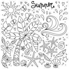 Vector set of illustrations, different elements in the doodle style: palm, waves, butterflies, flowers, sea, sun, stars, seashells