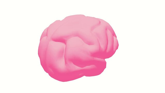 Human brain Anatomical Model. Motion Animation. Video available in 4K FullHD and HD render footage