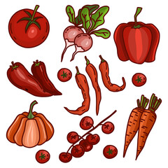 Vector set of red and orange vegetables: tomato, pepper, reddish, chily, carrot, pumpkin. Hand-drawn collection with black outline isolated on white background