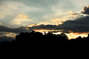 Atardecer en el bosque