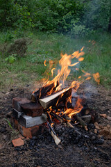 A fire that was lit in the forest for frying meat