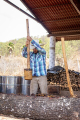 hombre moliendo la planta del agave de manera artesanal para hacer raicilla o tequila