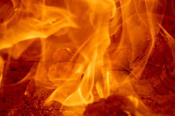 Fuego de roble dentro del horno de adobe, para preparar raicilla, en san gregorio, mixtlan, jalisco - obrazy, fototapety, plakaty