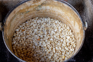 preparacion de nixtamal de maiz, para la elaboracion de tortillas torteadas en cocinas tradicionales mexicanas, en san gregorio, mixtlan, jalisco