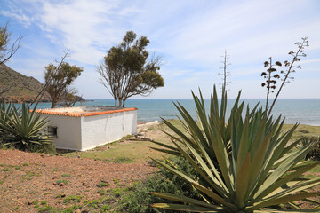 almer&iacute;a playa genoveses casa embarcadero mar mediterraneo 4M0A3894-as22