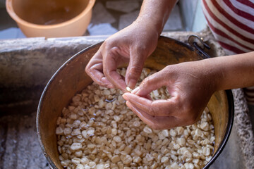 preparacion de nixtamal de maiz, para la elaboracion de tortillas torteadas en cocinas tradicionales mexicanas, en san gregorio, mixtlan, jalisco