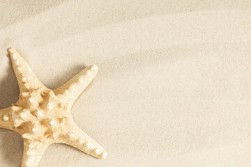 Travel and vacation. Vacation season. Summer holiday background.  Sand, shells and starfish. Flat lay, top view, copy space. banner