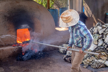 Hombres llenando de piñas de agave el horno de adobe, para preparar raicilla, en san gregorio,...