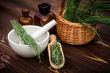Apothecary mortar with dry medicinal herbs horse tail. Equisetum, horsetail, snake grass, oil for cosmetology. puzzlegrass, candock extract for alternative medicine used diuretic for edema