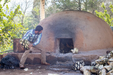 Hombres llenando de piñas de agave el horno de adobe, para preparar raicilla, en san gregorio,...