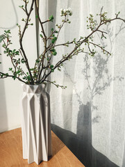 Blooming cherry branch in vase in sunlight against linen curtains. Home Decor and spring details. Vertical phone photo