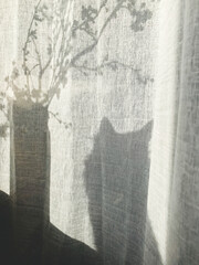 Shadow of curious cat and blooming cherry branch on sunny linen curtains. Home Decor and spring details. Vertical phone photo
