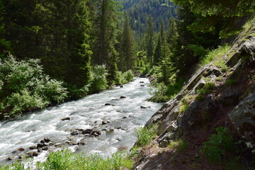 Valle d'Aosta Chamois Lago di Lod