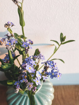 Beautiful blue spring flowers in vase on windowsill in evening sunlight against wall. Forget me nots. Atmospheric image. Creative spring details. Vertical phone photo